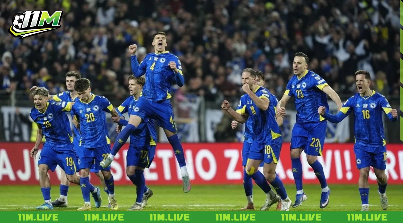 đội tuyển bóng đá quốc gia bosna và hercegovina